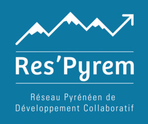 respyrem-logo-cartouche-bleu